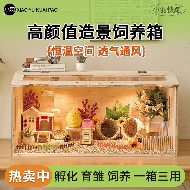 猫咪保温箱芦丁鸡宠物饲养箱保温箱幼鸡笼子育雏造景小屋全套卢丁
