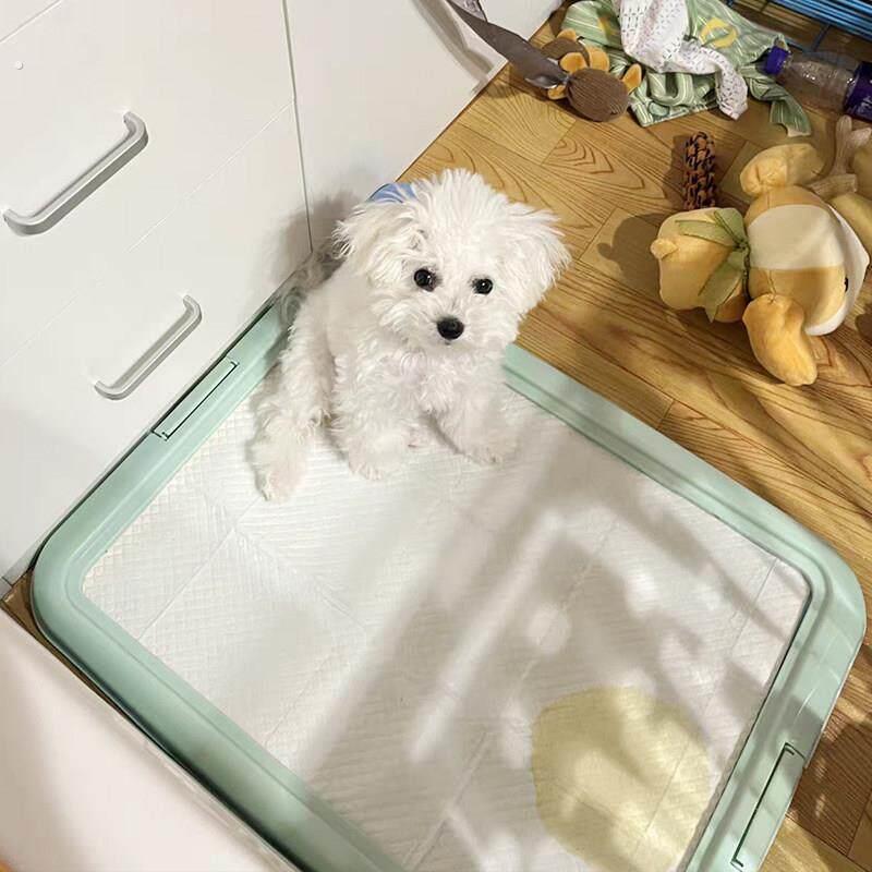 狗厕所小型犬小狗不湿脚防踩屎狗狗厕所大中型犬平板厕所盆便盆