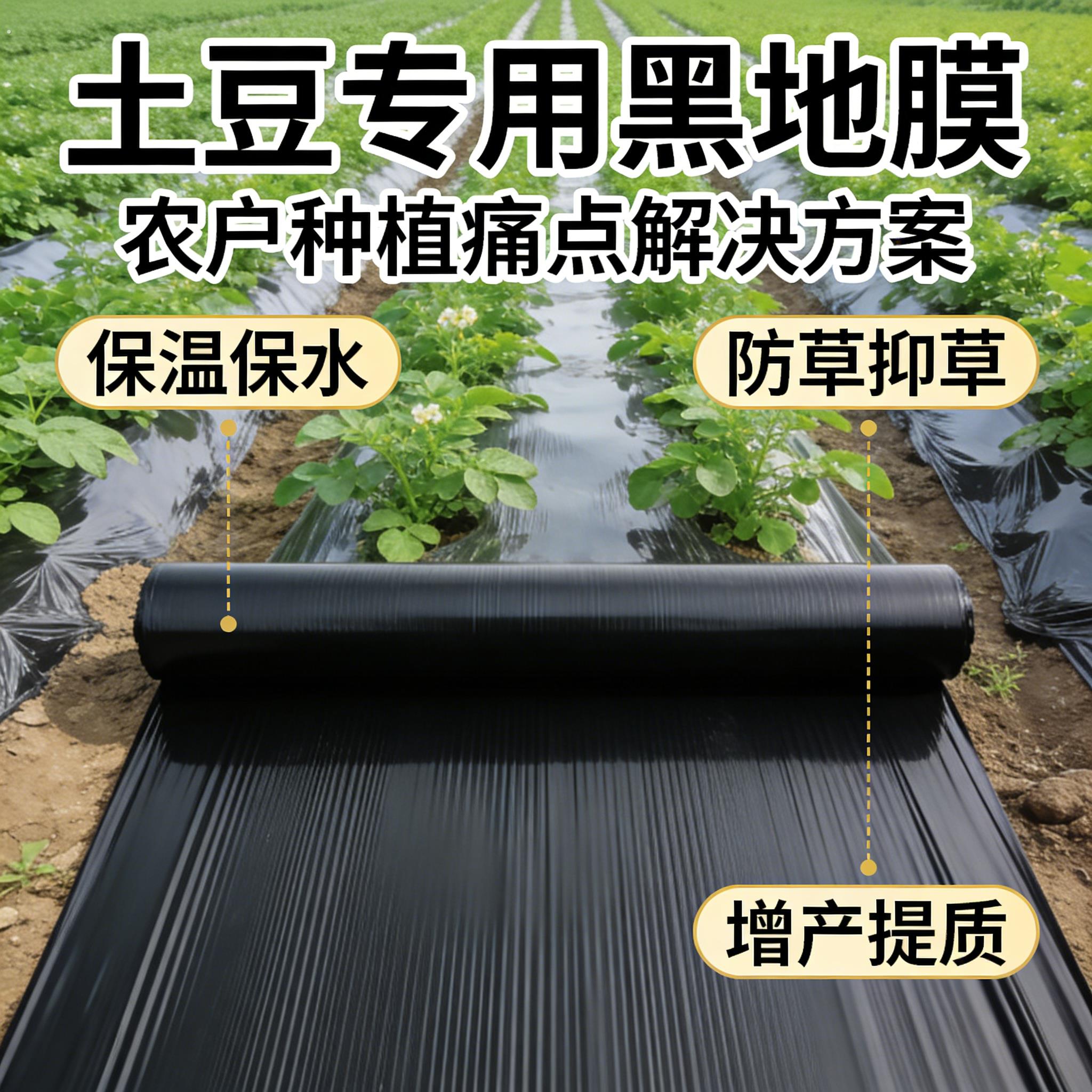 土豆专用黑色地膜保温膜加厚农用种植塑料薄膜防草布除草地钉