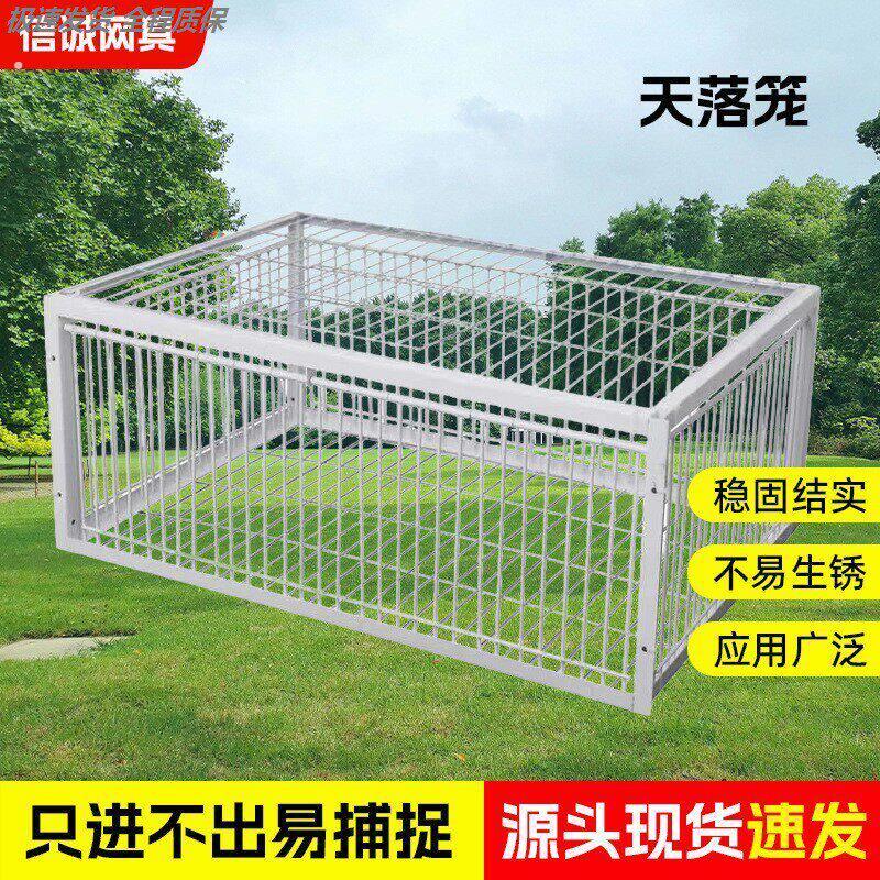 鸽子撞门鸽子活络门笼撞门鸽笼铁笼只进不出跳笼天落笼撞门自动门