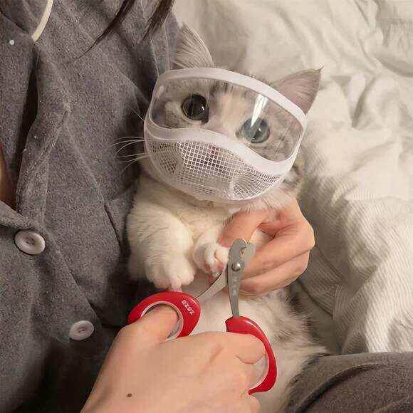 猫咪头套防咬防舔剪指甲洗澡宠物嘴套清洁面罩透气美容眼罩可调节
