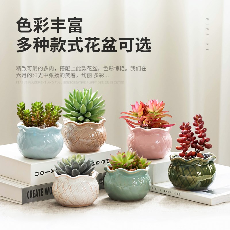 创意多肉花盆陶瓷个性莲花圆口植物盆桌面肉肉室内盆栽盆带托盘