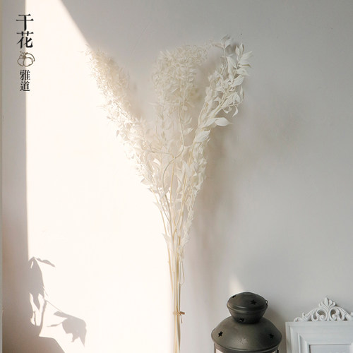 白色奶油风富贵叶干花diy材料包小尖叶白色配材配叶橱窗卧室装饰