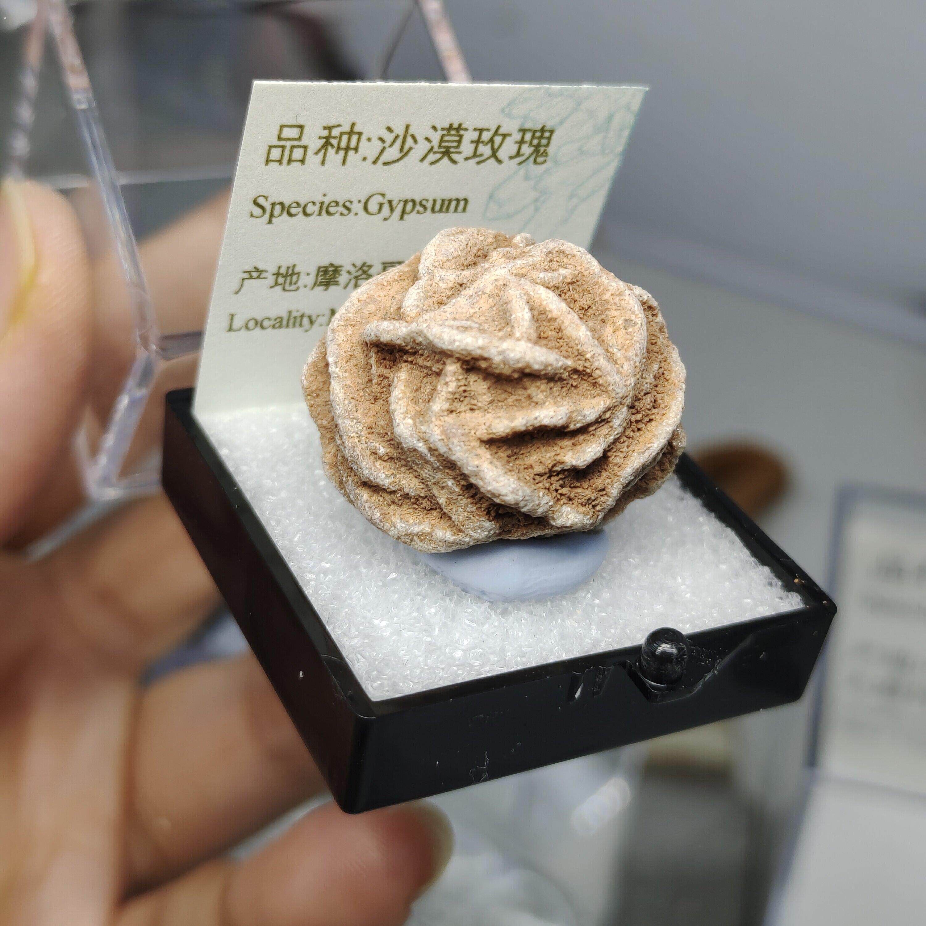 沙漠玫瑰原石天然矿物标本盒子猫矿石能量石晶石地质标本科普