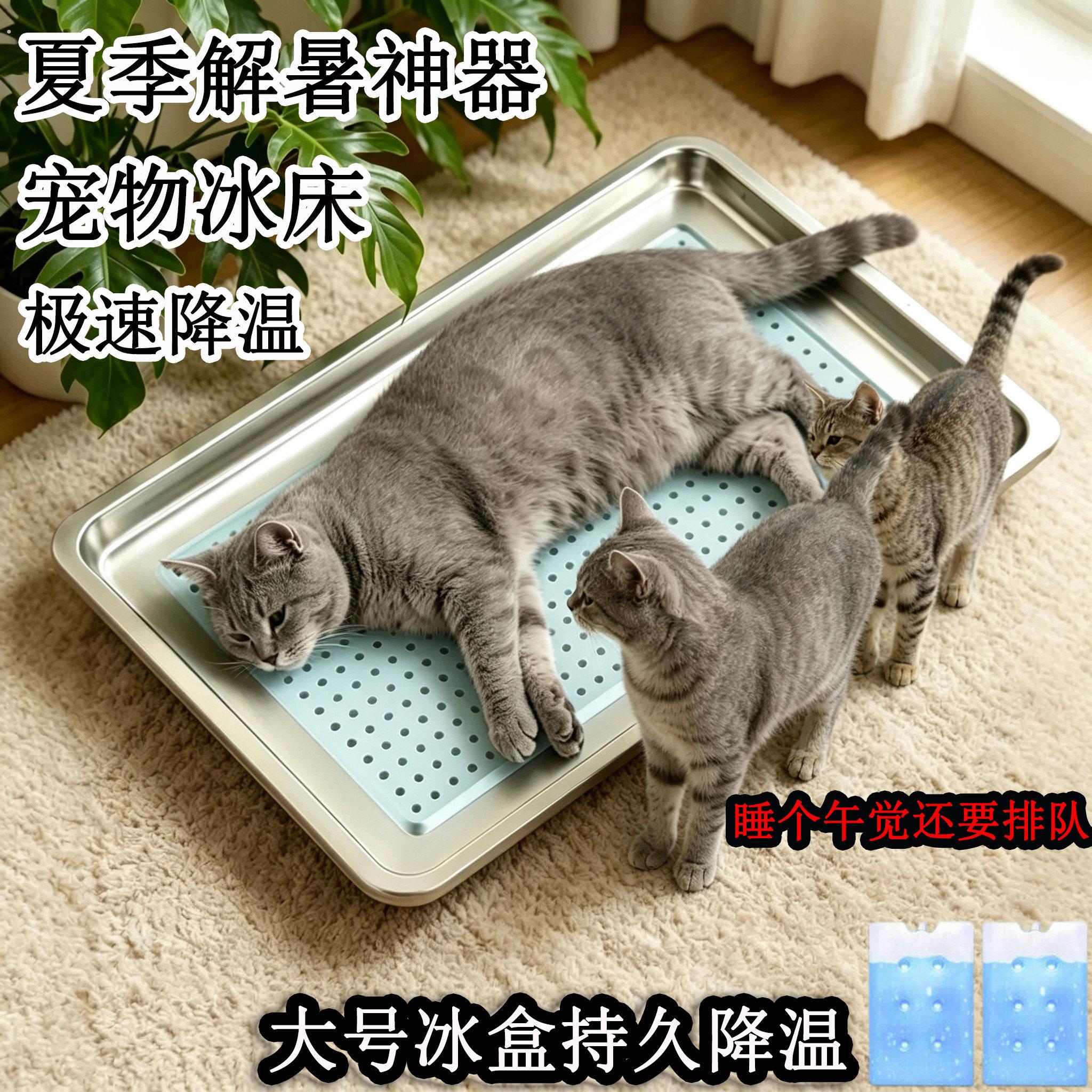 宠物降温神器猫咪仓鼠冰盒解暑冰窝夏天兔子狗狗龙猫散热板不锈钢