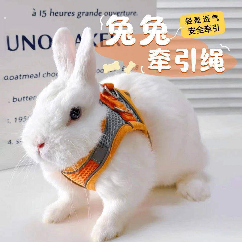 兔子牵引绳遛兔子专用防挣脱小型犬遛兔子绳小侏儒兔绳兔兔牵引绳