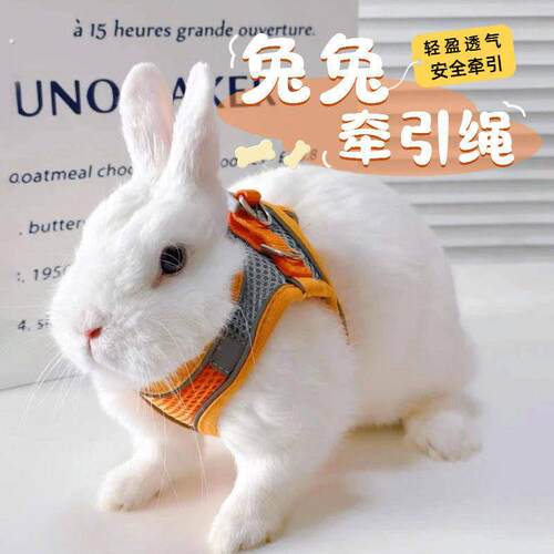 兔子牵引绳遛兔子专用防挣脱小型犬遛兔子绳小侏儒兔绳兔兔牵引绳