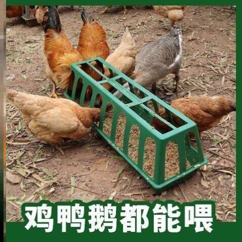 家用喂鸡食槽料槽防撒养设备鸭鹅喂鸡神器饲料桶自动喂食鸡饲料盆