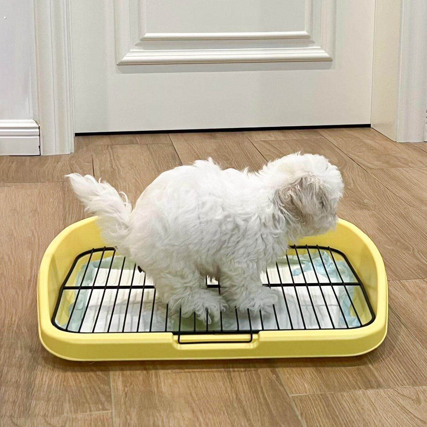 狗厕所中小型犬专用防踩屎不锈钢网架高围栏防溅托盘屎盆宠物尿垫