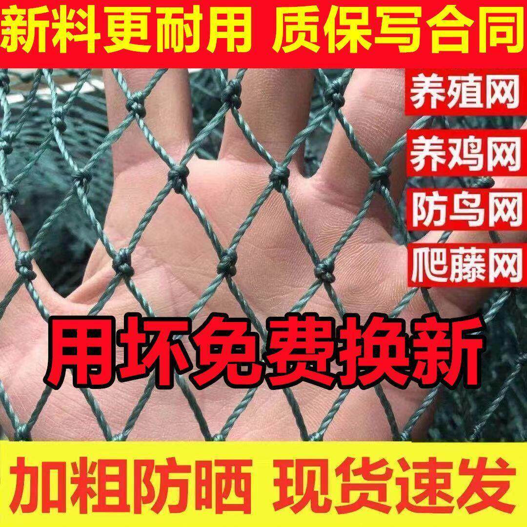 农村拦鸡鸭围栏网养鸡养殖网家禽养鸡网菜园网护栏网围山鸡网家用