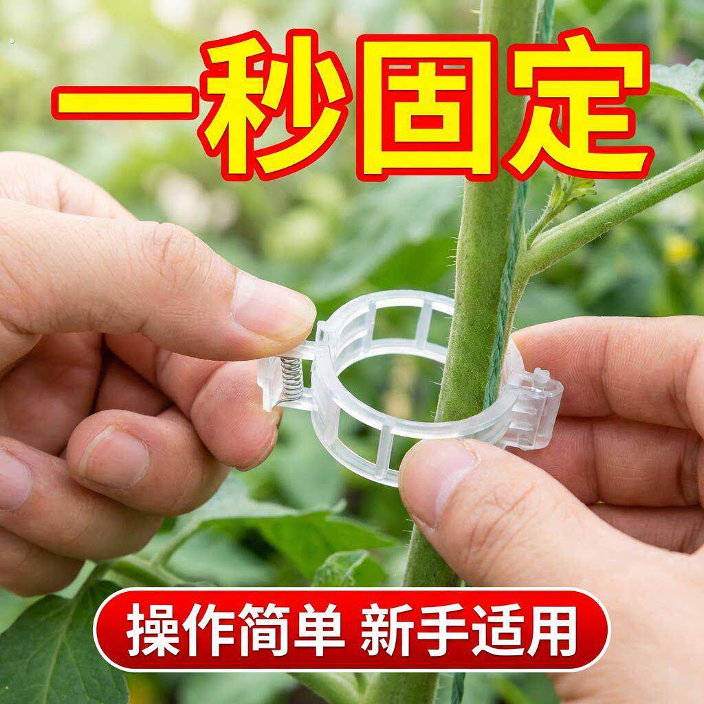 藤蔓固定卡扣绿植秧苗支撑夹果树爬藤固定器果蔬吊秧扶蔓夹