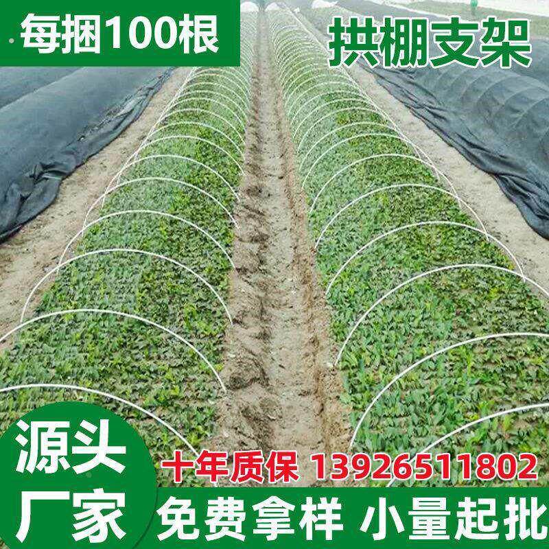 育苗棚骨架农用大棚薄膜拱棚遮阳小拱条弹力棒防冻防虫网塑料支