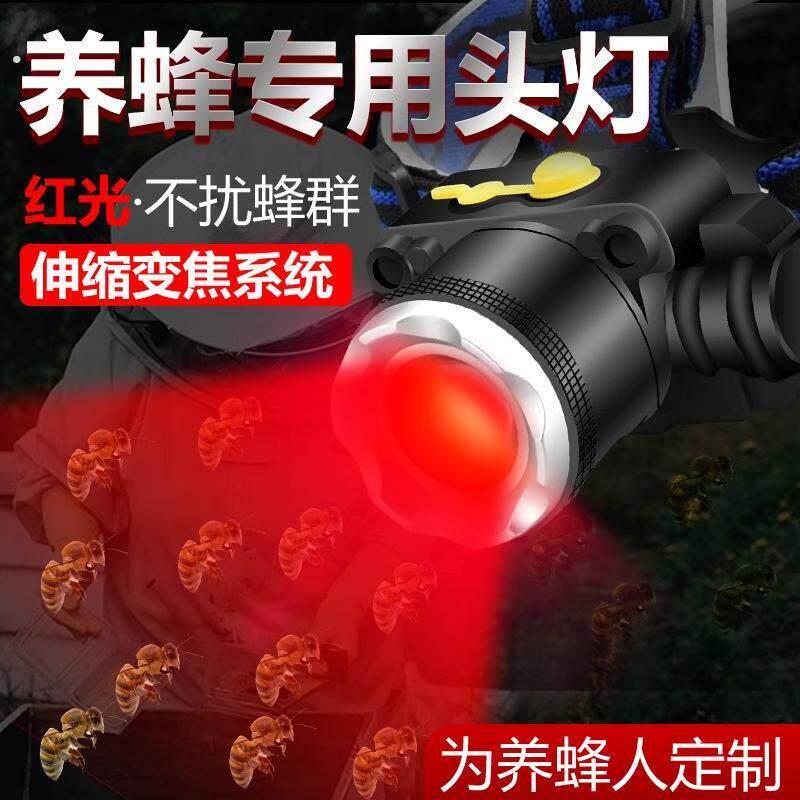 红光养蜂专用头灯查蜂取蜜蜜蜂灯座戴式手电筒调焦红白双光源