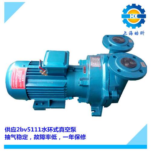 供应2BVA5111水环式真空泵2BV液环真空泵材质可定做一年质保