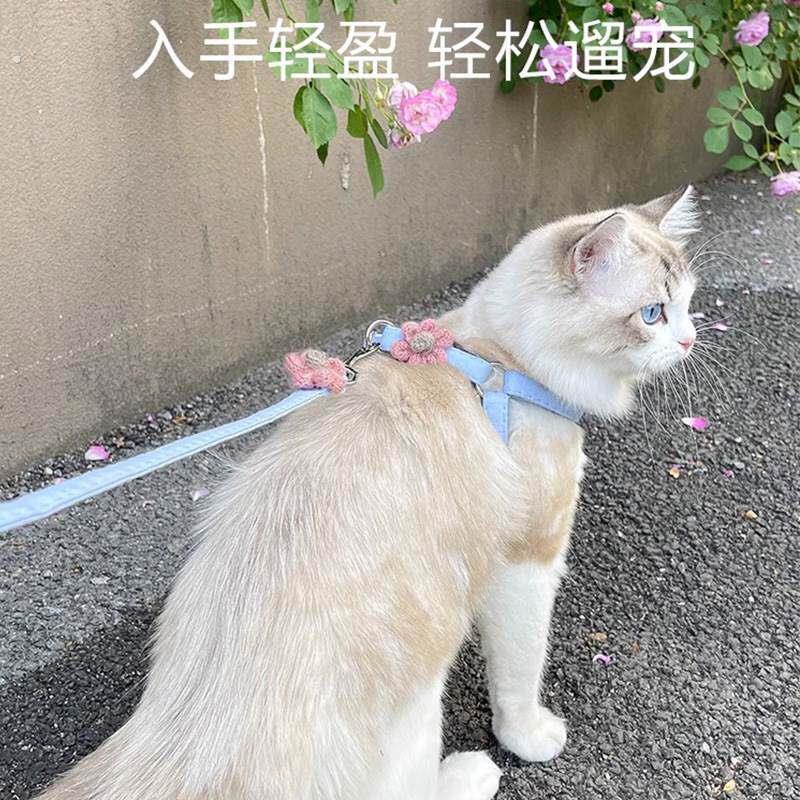 小猫咪牵引绳防挣脱外出专用宠物可调节溜猫狗狗背带遛猫遛狗绳子