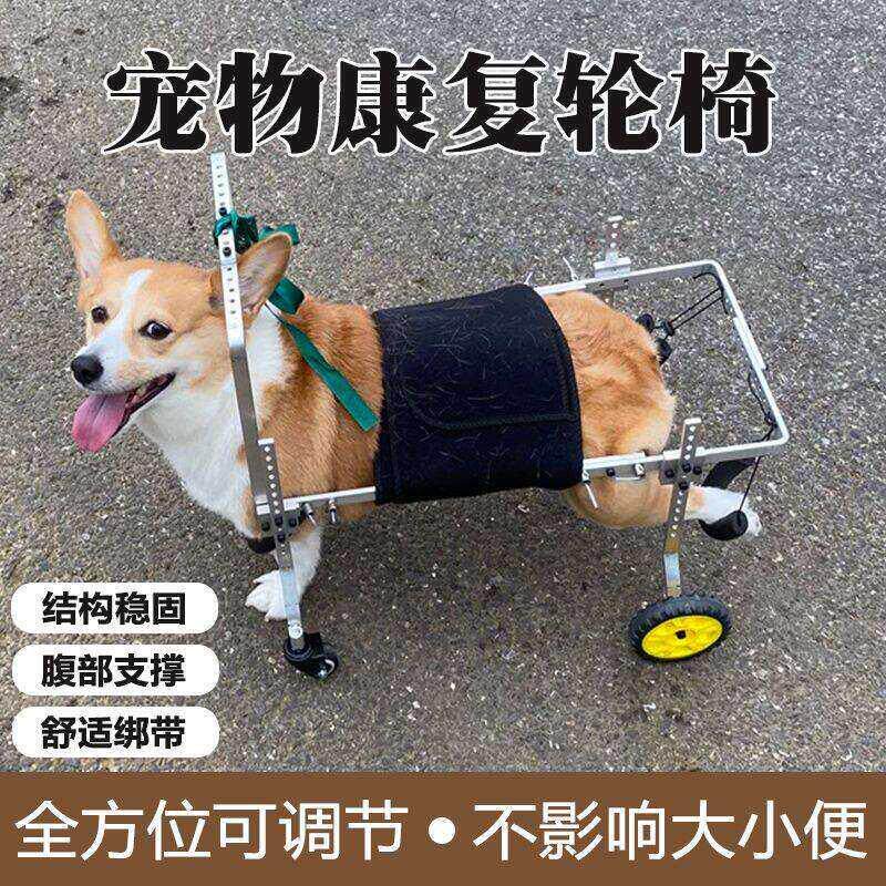 狗轮椅后肢瘫痪康复轮椅代步残疾车老年辅助泰迪宠物狗狗后腿支架
