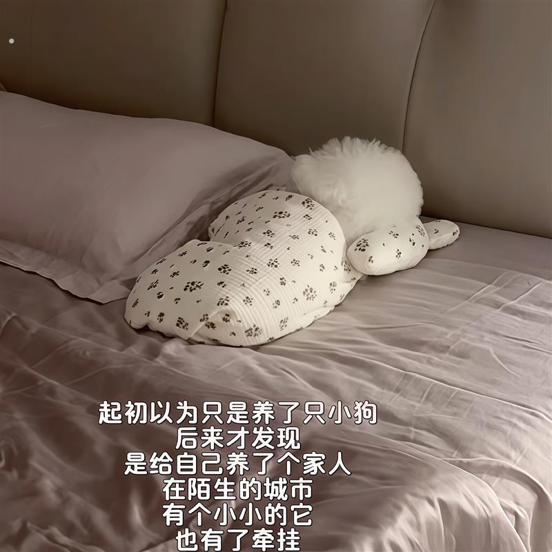 宠物毛毯猫狗毯子春夏空调盖毯四季通用睡觉毯带枕头小被子睡觉垫
