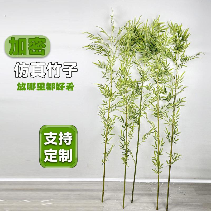 加密仿真竹子室内装饰假竹子隔断屏风挡墙造景室外散尾竹盆栽绿植
