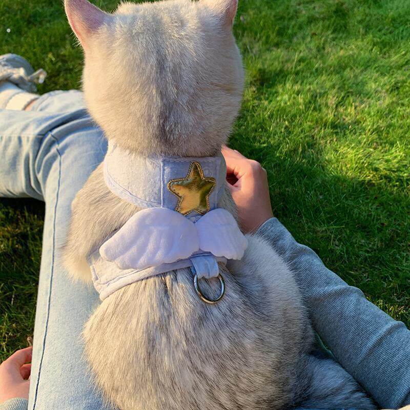 背心式猫咪牵引绳遛猫小猫宠物专用防挣脱型外出牵引小狗天使翅膀