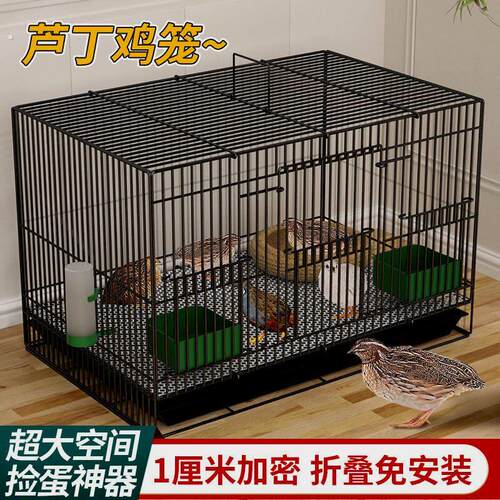 兔笼子家用大号加密幼兔小兔笼兔子笼带厕所室内宠物兔窝荷兰猪笼