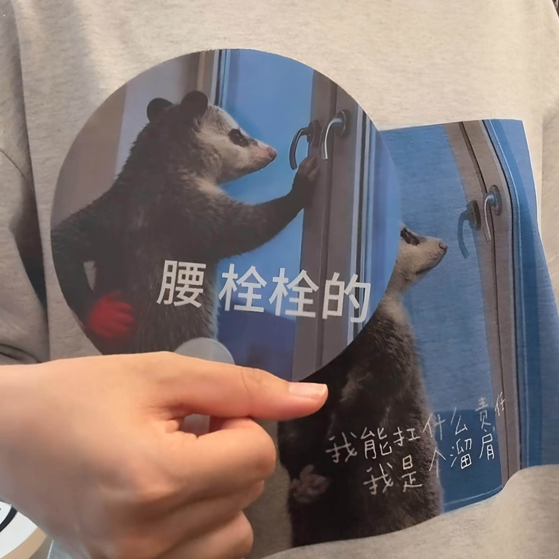 【负鼠扇子】表情变换光栅扇夏季抽象恶搞便携式手摇扇抽象手持扇