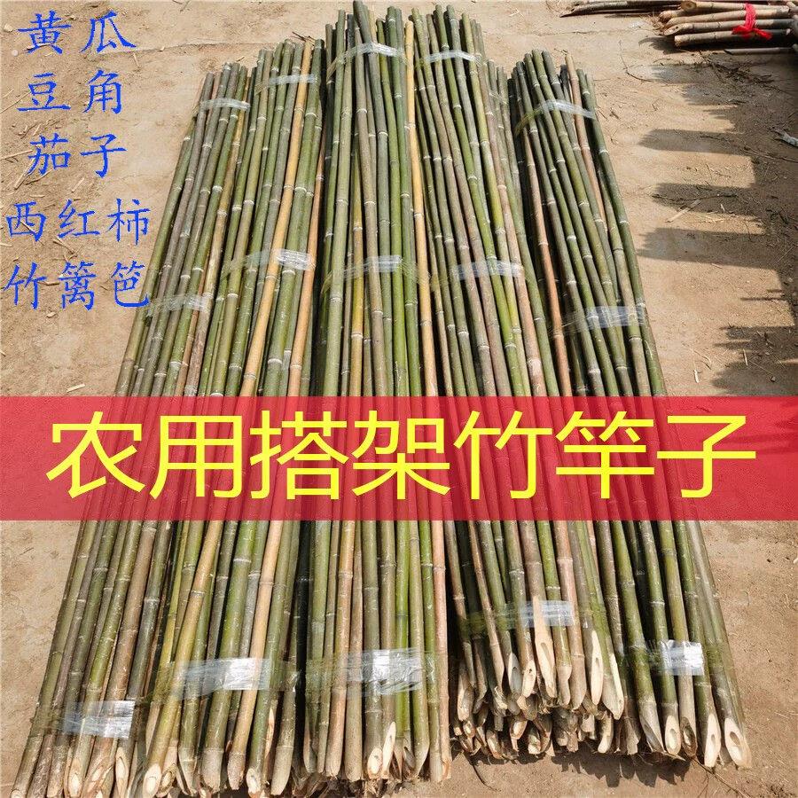 细竹竿棍子搭黄瓜架子四季豆角农用种菜园爬藤辣椒西红柿篱笆围挡