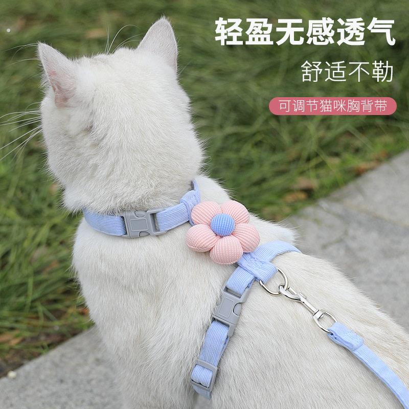 猫咪牵引绳猫绳防挣脱不勒脖遛猫外出用宠物兔工字胸背溜小猫绳