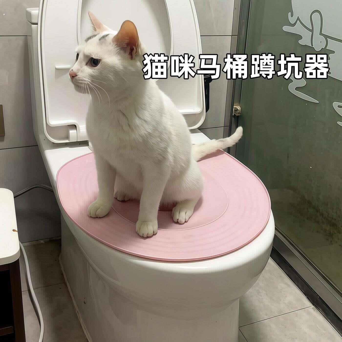 猫猫训练厕所猫咪马桶蹲坑训练器训练猫咪自动猫厕所辅助器定位器