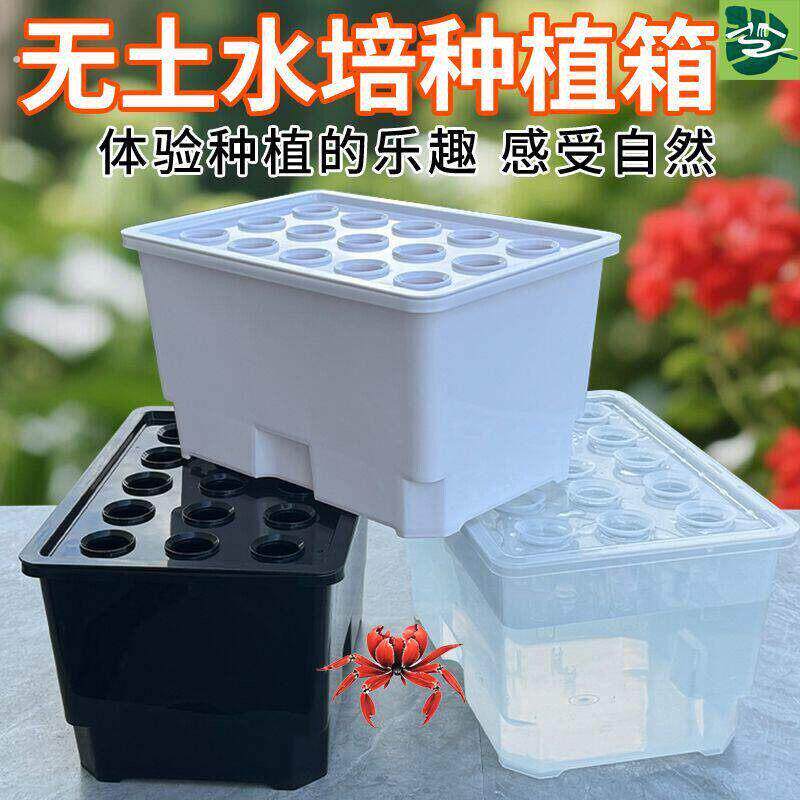 15孔室内水培蔬菜种植箱无土栽培植物育苗盒阳台种菜套装带定植篮