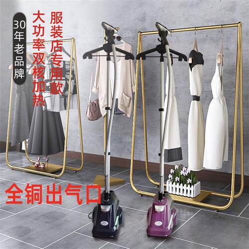 立挺商用蒸汽挂烫机熨烫机家用服装店大功率手持立式烫衣服电烫斗