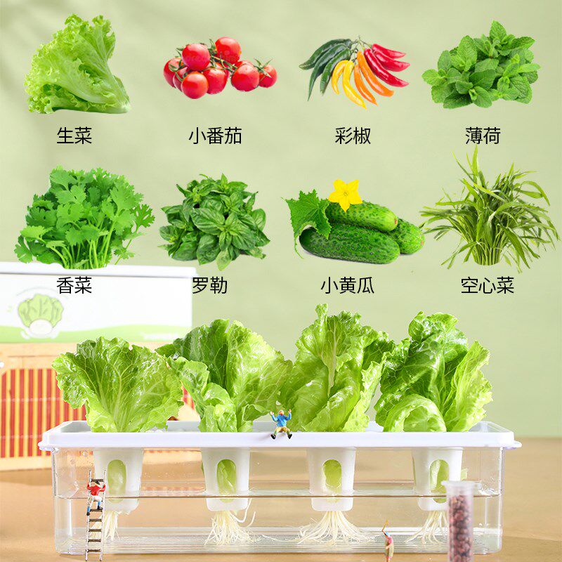 智能水培蔬菜设备无土栽培花盆 阳台香菜水耕种植箱 家庭生菜种菜