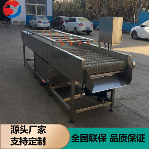 鹌鹑蛋平辊清洗机 全自动西红柿毛辊清洗机 鹌鹑蛋加工生产线