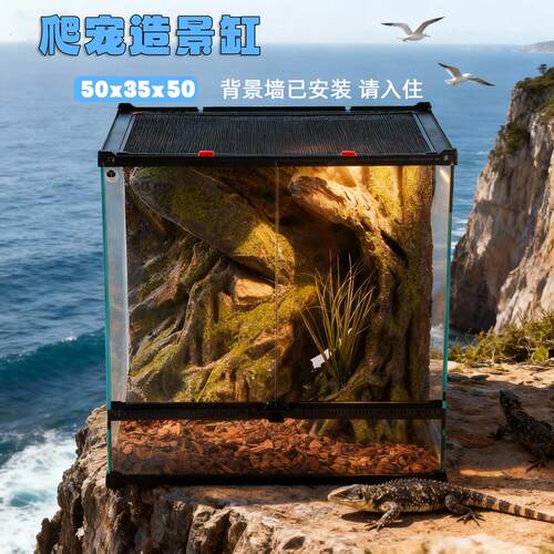 爬宠造景缸背景板套装睫角守宫饲养箱蜥蜴蛇蜘蛛雨林缸50550
