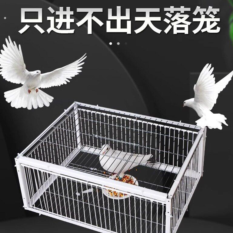 新款天落笼鸽子笼加厚加密自动收鸽子活络门撞门户外只进不出图片