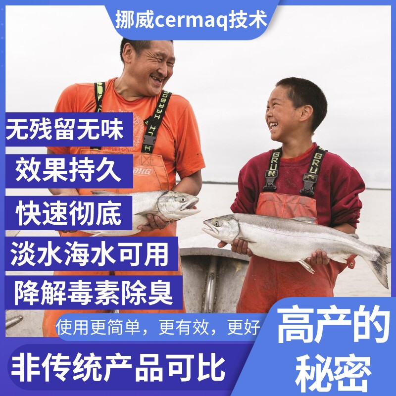 银离子鱼药水剂水产养殖消毒剂池塘除藻改底除臭专用
