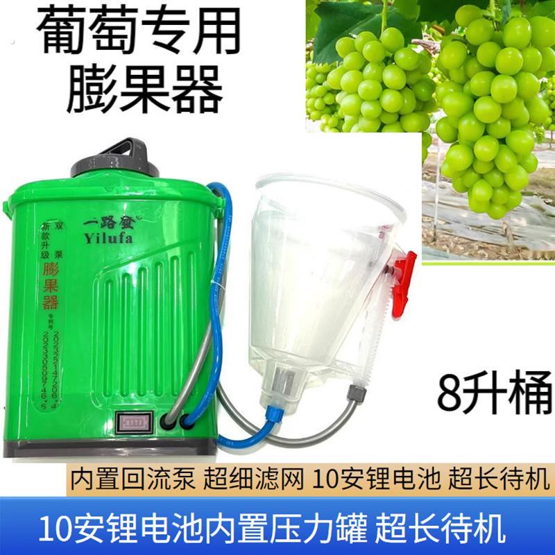 妮娜皇后 阳光玫瑰葡萄膨果器内置回流泵自动回流电动膨果器