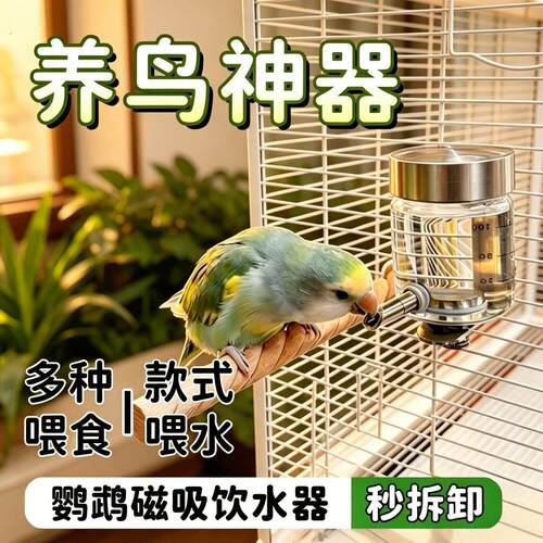 磁吸式鹦鹉水壶针式水壶高硼304不锈钢撞硅玻璃瓶喂水器鸟禽用品