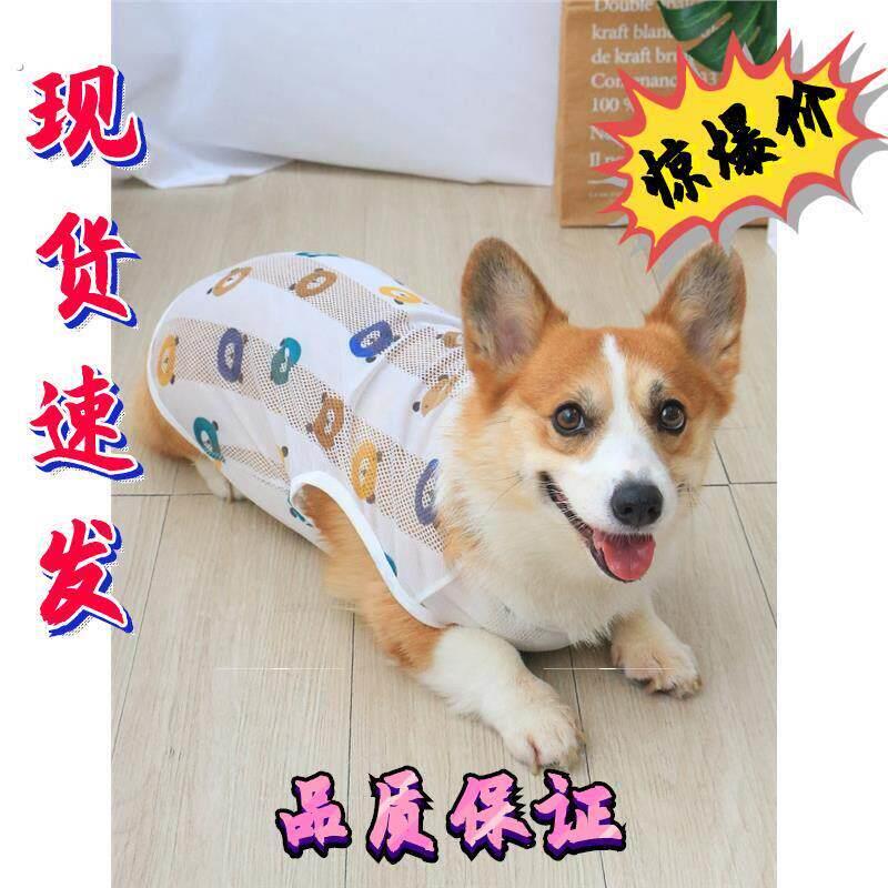 宠物狗狗衣服薄款透气柯基泰迪背心夏季春季小型犬幼犬四季防掉毛