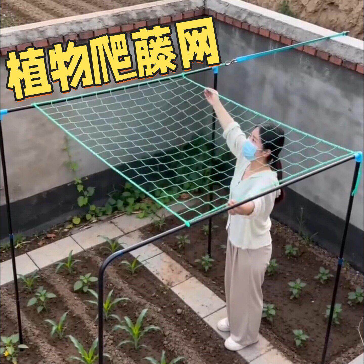 爬藤网植物攀爬网丝瓜加粗农用网格丝瓜黄瓜豆角瓜果蔬菜抗倒伏网