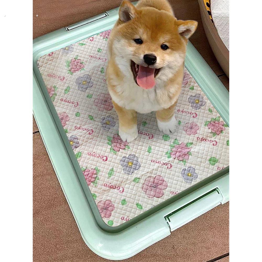 狗厕所小型犬小狗不湿脚防踩屎狗狗厕所大中型犬平板厕所盆便盆