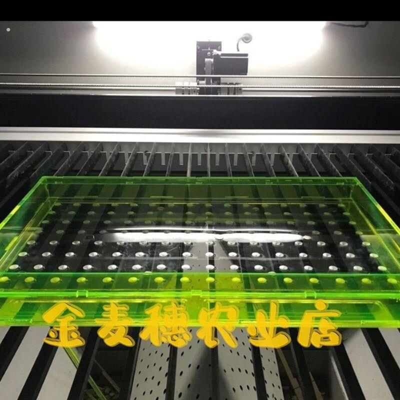 播种神器穴盘播种器点种器漂浮穴盘播种器播种新款种菜机器辣椒