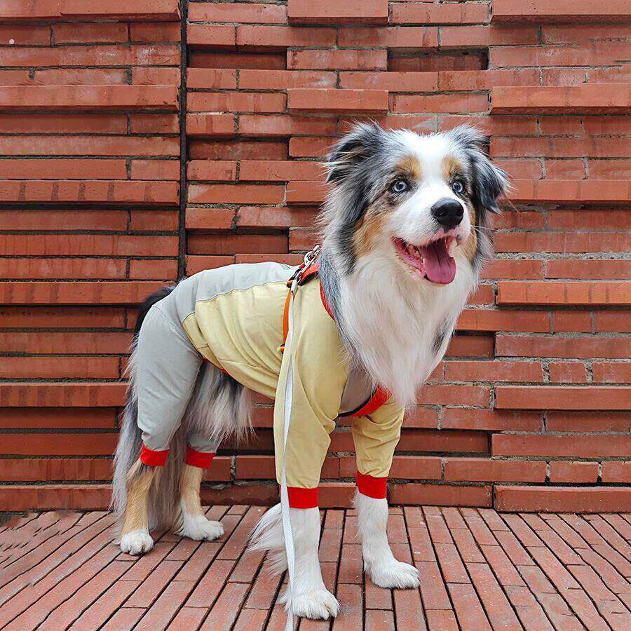 狗狗中大型犬春秋舒适四脚衣透气防晒防掉毛网红边境牧羊犬雪纳瑞