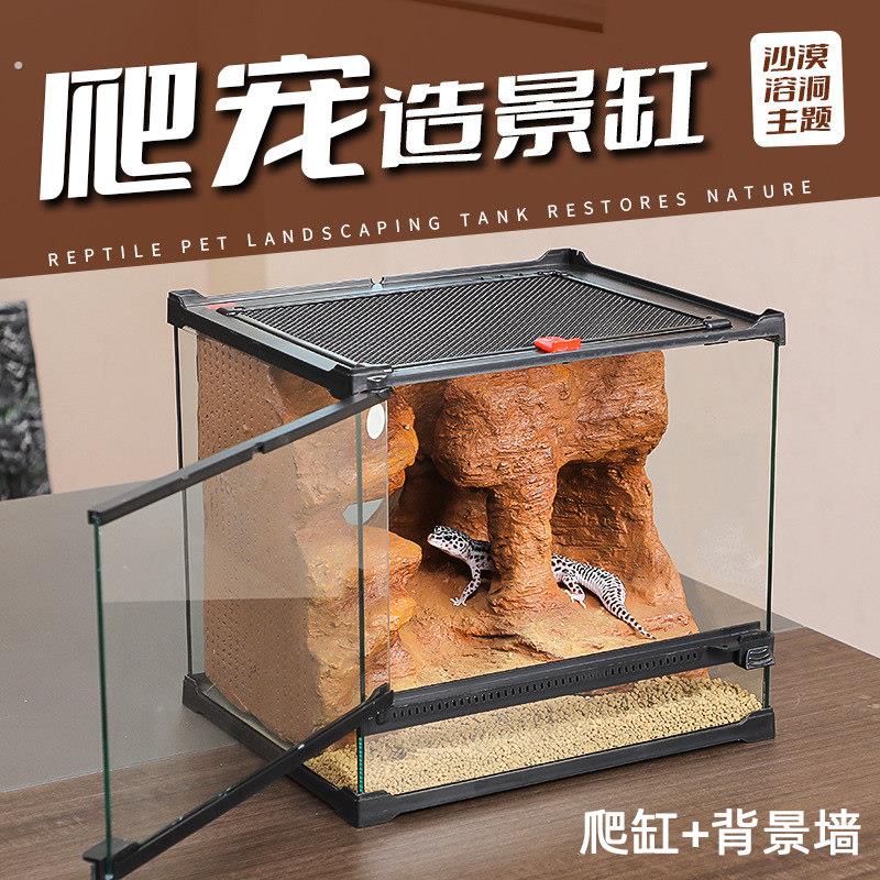 爬宠造景缸背景板套装睫角守宫饲养箱蜥蜴蛇角蛙树蛙蜘蛛202022图片