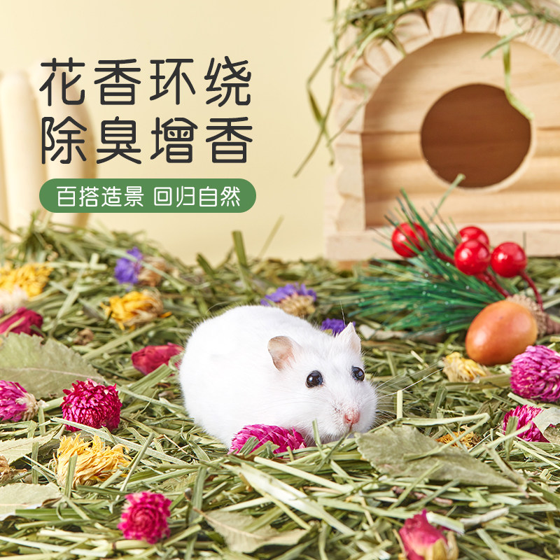仓鼠花草垫料除臭垫料金丝熊窝造景用品可食用干花夏天木屑造景用图片