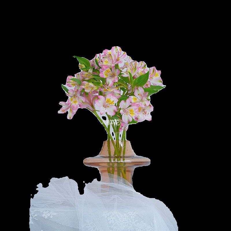 双重惊喜水仙百合鲜花插花水养花期长六出花云南直发家居装饰送花