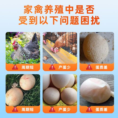 雄牧蛋鸡专用蛋多多增蛋宝鸡鸭鹅鸽子下蛋饲料芦丁鸡母鸡多下蛋
