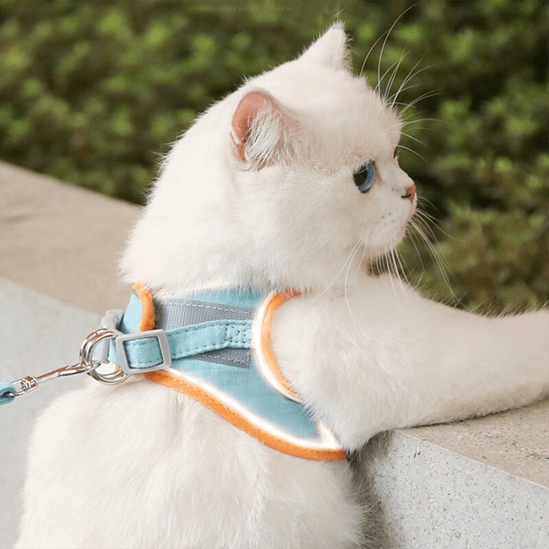 宠物猫咪牵引绳背心式胸背带外出专用防挣脱溜撞色猫绳子栓猫链子