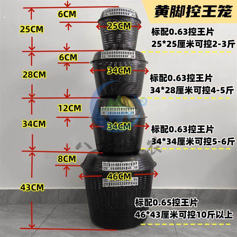 黄脚胡蜂控王笼大中小号齐全 葫芦蜂防逃王笼 马蜂野化放养防上树