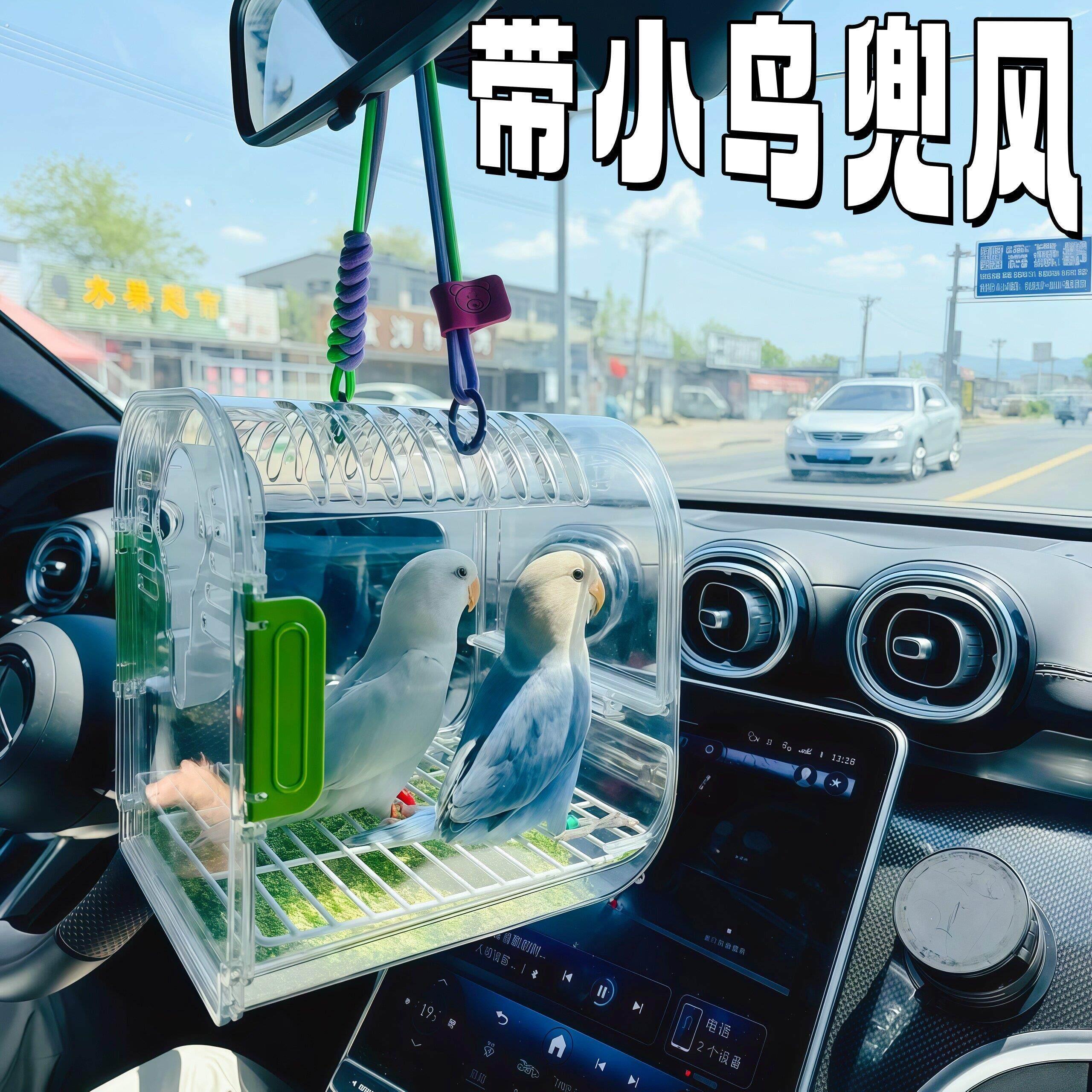 鸟笼鹉笼外带笼明全景户外可携式斜跨抱婴透袋小型专用鹦外带观赏