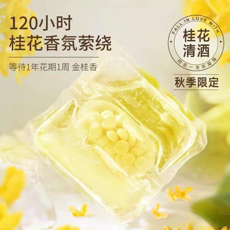 蓝桉叶精油洗衣凝珠除菌除螨去异味持久留香去污渍洗衣液袋装